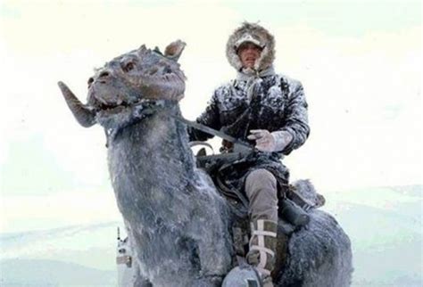 Then I’ll See You In Hell: ‘Star Wars’ Tauntaun Snowman (Photo)