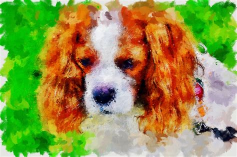 Download Dog, Paintings, Digital Painting. Royalty-Free Stock ...