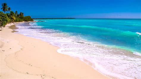 Waves on Saona Island - Relaxing Beach Sounds of the Caribbean Sea For ...