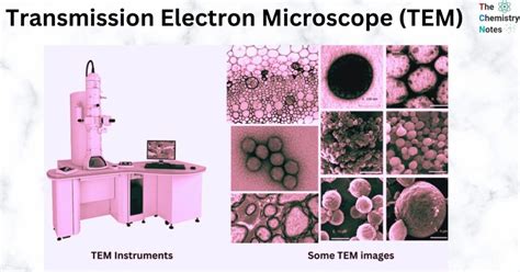 Transmission Electron Microscope (TEM): Principle, Instrumentation, Advantages