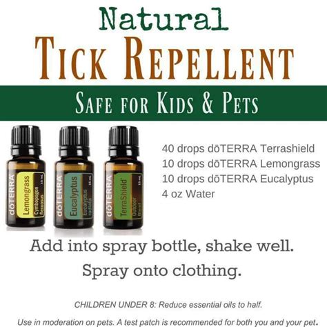 Pin by Terry Tyteca Stahl on Essential Oils tips | Essential oils, Doterra oils recipes, Doterra ...