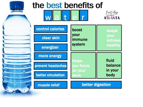 Real College Student of Atlanta: The benefits of water