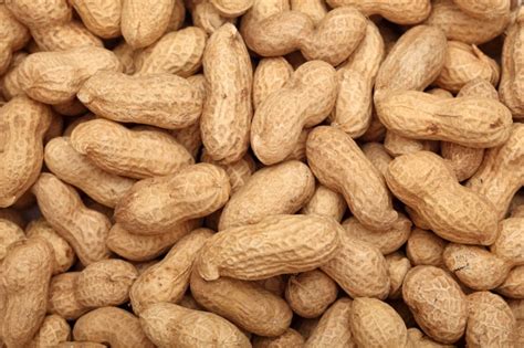 Groundnut(Peanut) : 5 Health Benefits Everyone Should Know About