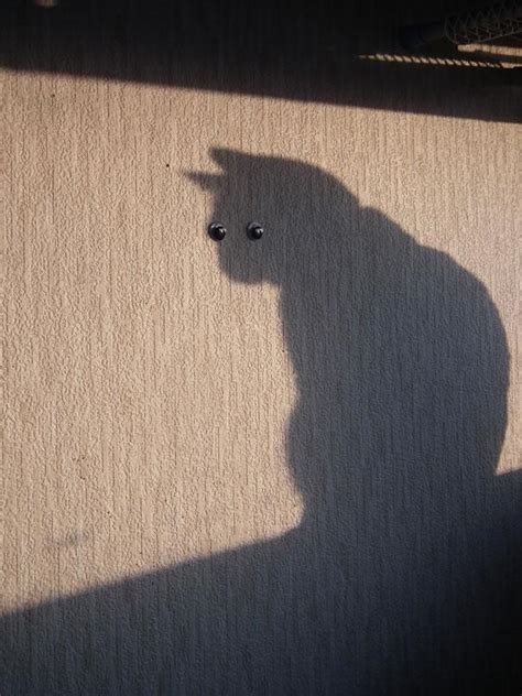 25 Photos Of Shadows That Tell A Different Story | Bored Panda