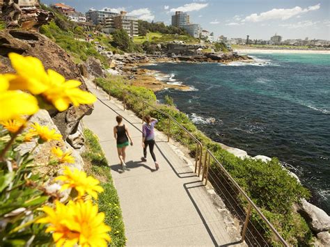 Bondi to Coogee Coastal Walk | Sydney, Australia - sydney.com