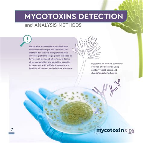 Mycotoxins Detections Methods by agriNews - Issuu