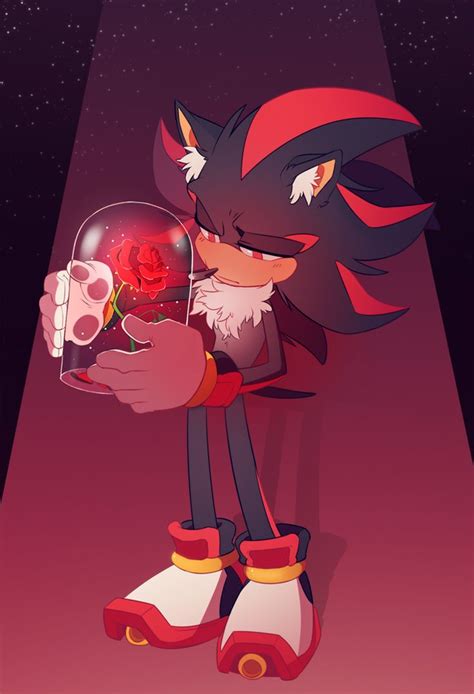 A rose for Shadow by TheMonstersBride.deviantart.com on @DeviantArt | Shadow the hedgehog, Sonic ...