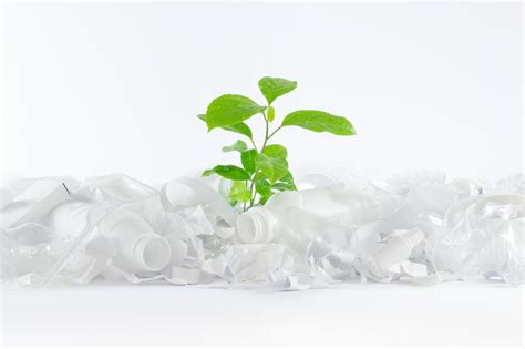 PLA: a Bio-based and Compostable Packaging Plastic