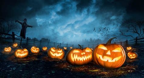 Free Photo | Halloween wallpaper with evil pumpkins