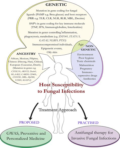 Frontiers | Genetic Susceptibility to Fungal Infections and Links to Human Ancestry