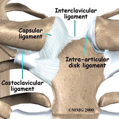 mriprotocol - STERNO CLAVICULAR JOINTS ANATOMY & MRI PROTOCOL