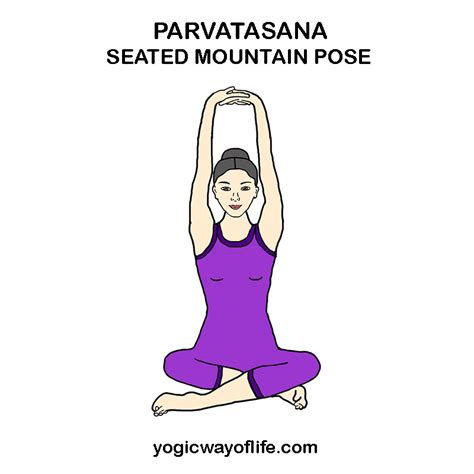 The Seated Mountain Pose - Yogic Way of Life