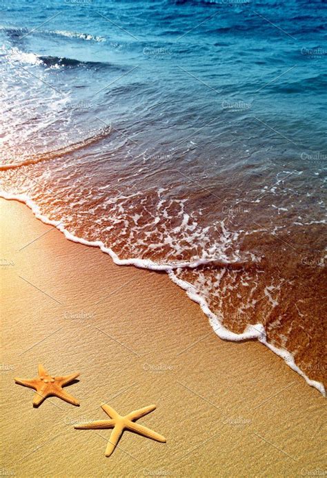 Starfish on Beach Sand