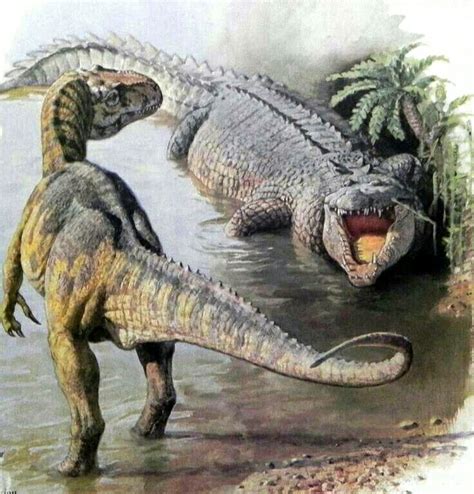 1487 best Saurischian Dinosaurs images on Pinterest | Dinosaurs ...