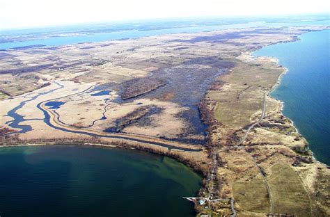 Helping habitat on Amherst Island — Ducks Unlimited Canada