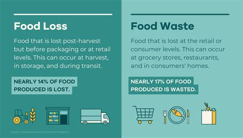 Difference Between Food Waste Vs Food Loss: Examples, 55% OFF