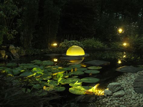 Night View I Pond Lighting I Vijververlichting I EveryFishCanFly® Lilly Pond, Pond Lights ...