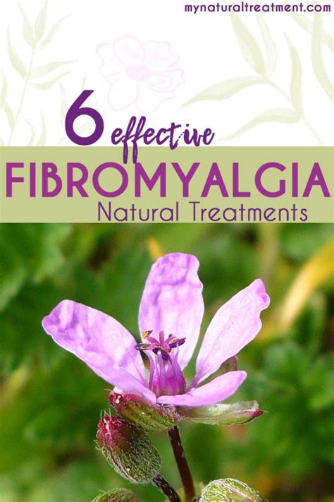 6 Effective Fibromyalgia Natural Treatments & Remedies