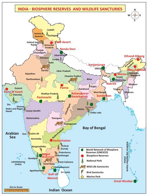 Climate and Natural Vegetation of India - Geography | Social Science