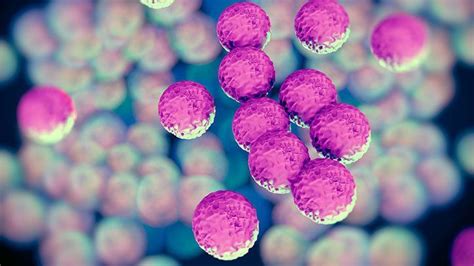 Everything You Need to Know About the Superbug MRSA | Christ Memorial