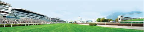 Sha Tin Racecourse 40th Anniversary Raceday - The Hong Kong Jockey Club