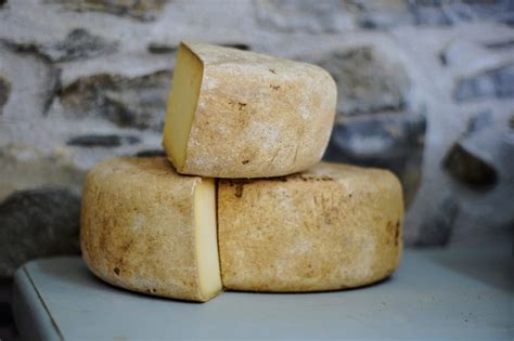 Sheep Cheese: 10 Types You Must Try | Cooked Best