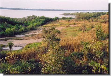 Gambia River Photos