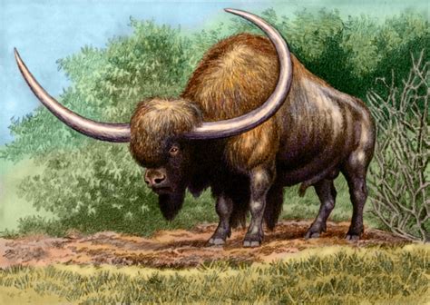 Bison latifrons by WillemSvdMerwe on DeviantArt | Prehistoric animals ...