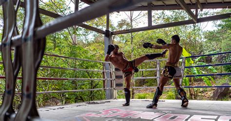 Muay Thai Training in Thailand | Muay Thai Boxing Camp in Koh Tao