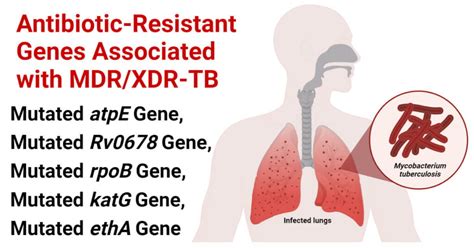 Antibiotic Resistance Genes in MDR/XDR Tuberculosis (TB)