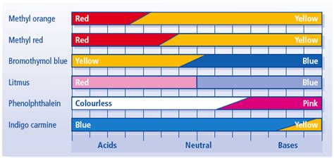 Natural Indicators – Bush Tucker: Chemistry