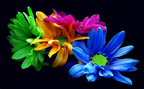 354 Blue Flower HD Wallpapers | Background Images - Wallpaper Abyss