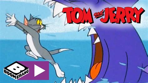 Tom & Jerry | Shark Attack | Boomerang UK - YouTube