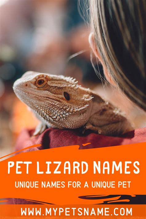 Pet Lizard Names | Lizard names, Pet lizards, Reptiles names