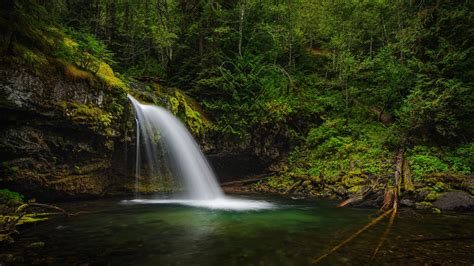 Greenery Waterfall And Foliage Green Trees 4K 5K HD Nature Wallpapers | HD Wallpapers | ID #54144