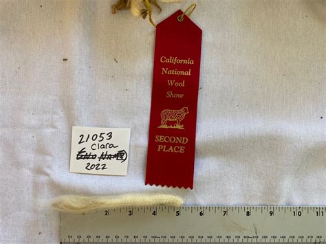 Clara: Cormo/Corriedale White Fleece - Barinaga Ranch