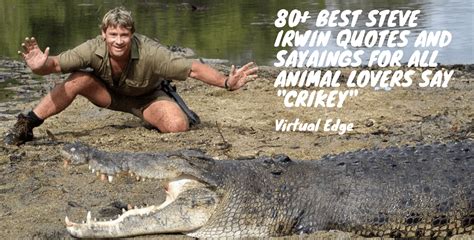 80+ Best Steve Irwin Quotes and Sayaings for All Animal Lovers Say "Crikey" | Virtual Edge