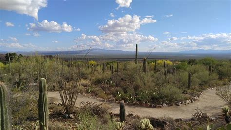 Arizona-Sonora Desert Museum | Life Untethered