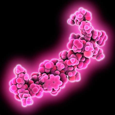 Bovine Major Prion Protein Molecule Photograph by Laguna Design/science Photo Library