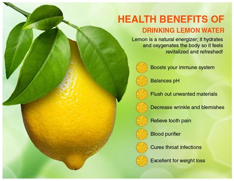 Health benefits of drinking lemon water Infographic Herbal Remedies, Natural Remedies, Health ...