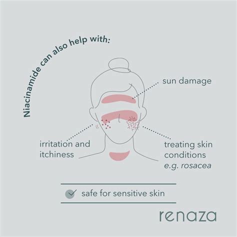 Retinol vs Niacinamide– which ingredient is best for you? - Renaza