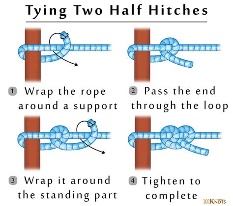 Two half hitches or double half hitch knot