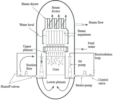 BWR configuration and flow paths. | Download Scientific Diagram