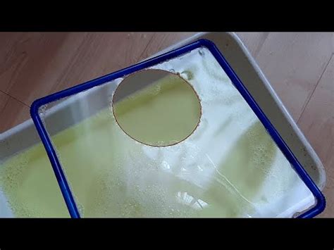 Science Experiment - Surface Tension - Loop of Thread in a Soap Film - YouTube