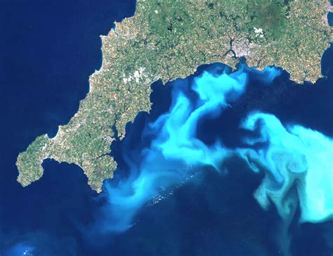 Satellite Images of Phytoplankton Blooms in Earth’s Oceans