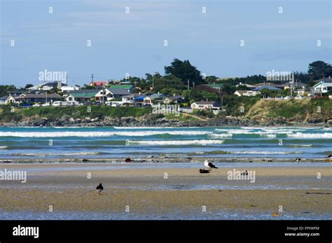 Riverton beach at low tide - New Zealand, South Island Stock Photo - Alamy