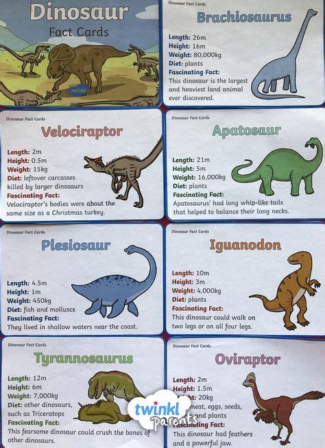 Dinosaur Information Fact Cards | Dinosaur facts, Dinosaur facts for ...