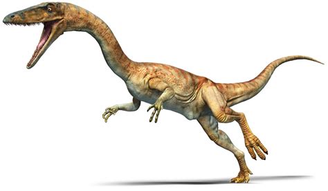 Coelophysis | Coelophysis Facts | DK Find Out