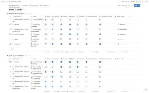 Habit Tracker Notion Template