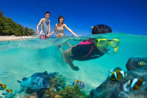 Fitzroy Island Snorkelling: The Ultimate Travellers Guide - Fitzroy Island